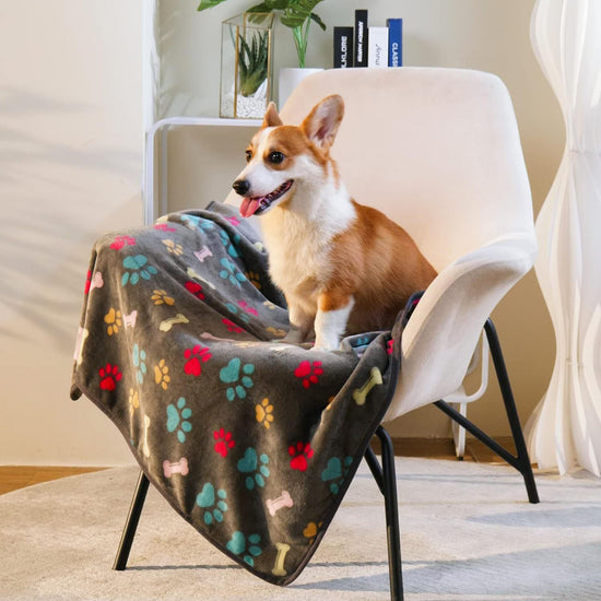 Pet Blanket Dog Cat Pad – Soft and warm blanket with confetti bone and dog’s paw design, available in multiple colors and sizes for pets.