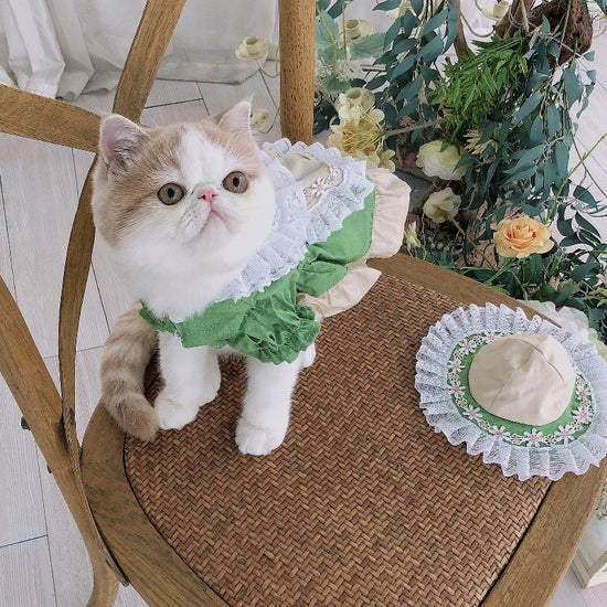 Cute Lolita-style maid outfit for dogs and cats, featuring a stylish hat and elegant design