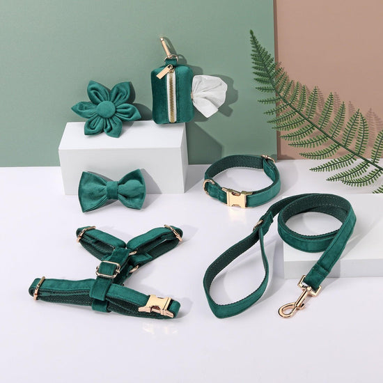 Elegant green pet accessory set, including a leash, harness, collar, and decorative bows, displayed on a stylish white and peach background.