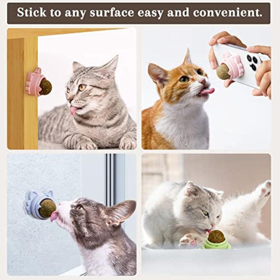 tick-on catnip balls, providing natural, fun, and healthy entertainment for your kitty