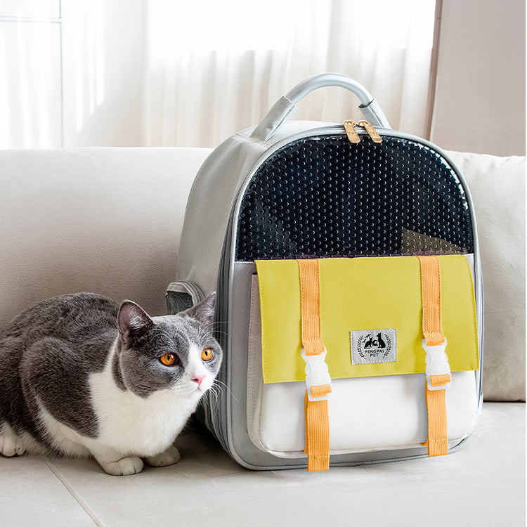 Foldable large-capacity cat and dog backpack, offering a comfortable and stylish pet carrier for easy travel