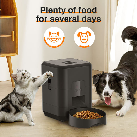 Durable Smart automatic pet feeder with remote timing and portion control for convenient and accurate feeding management