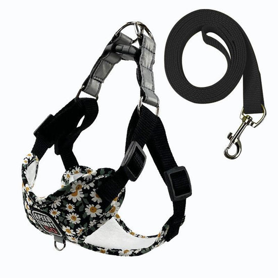 Vest type dog traction rope, designed for control and comfort during walks and outdoor activities