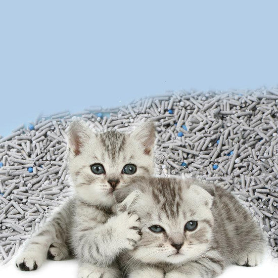 6L activated charcoal blend cat litter with tofu residue – provides superior deodorization and absorbs moisture for a clean and fresh litter box