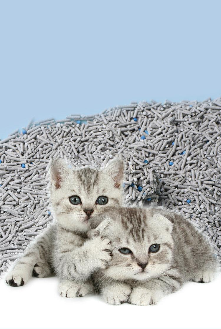 6L activated charcoal blend cat litter with tofu residue – provides superior deodorization and absorbs moisture for a clean and fresh litter box