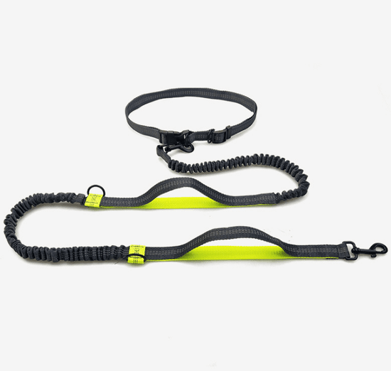 Multi-function running reflective pull dog leash – double elastic design for added comfort and control during walks or runs, with reflective features for safety