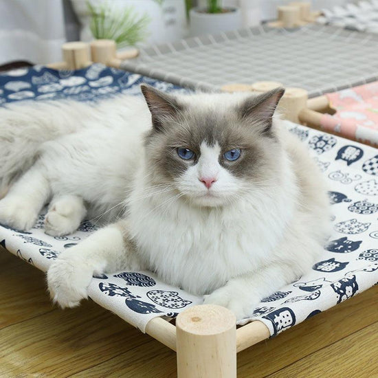 Pet wooden camping bed and cat litter, providing a cozy and stylish resting spot for cats