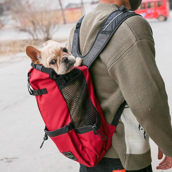 Portable pet dog carrier backpack – double shoulder travel bag for dogs available in S, M, L, XL sizes for comfortable travel