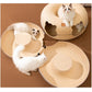 New cat tunnel bed featuring a peekaboo cat cave and donut tunnel design, perfect for indoor cats to play and relax