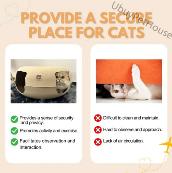Secure New cat tunnel bed featuring a peekaboo cat cave and donut tunnel design, perfect for indoor cats to play and relax 