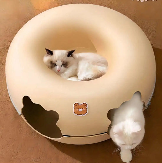 New cat tunnel bed featuring a peekaboo cat cave and donut tunnel design, perfect for indoor cats to play and relax