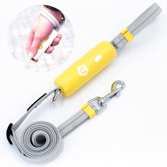 Elastic dog leash for small and medium-sized dogs – comfortable and adjustable leash for safe walks and better control
